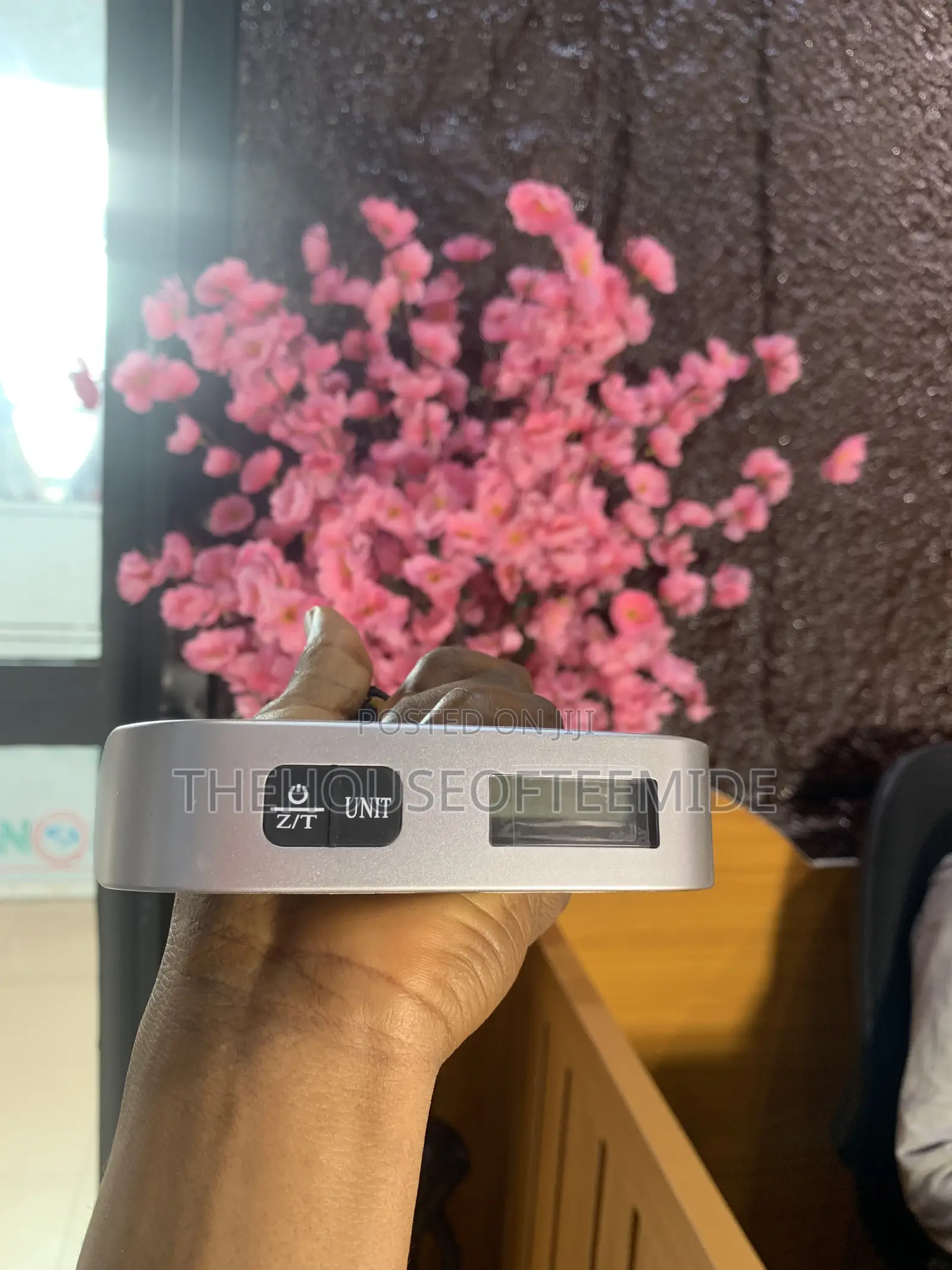 Luggage Scale