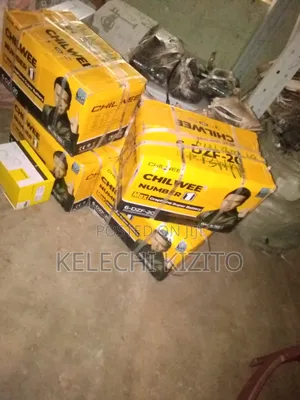 Electric Bike Battery