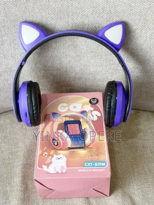 Wireless Headset
