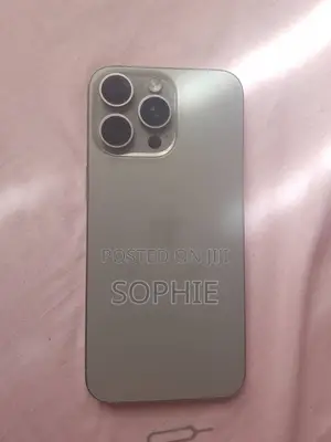 Apple iPhone 15 Pro Max 256 GB Gray