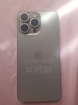 Apple iPhone 15 Pro Max 256 GB Gray