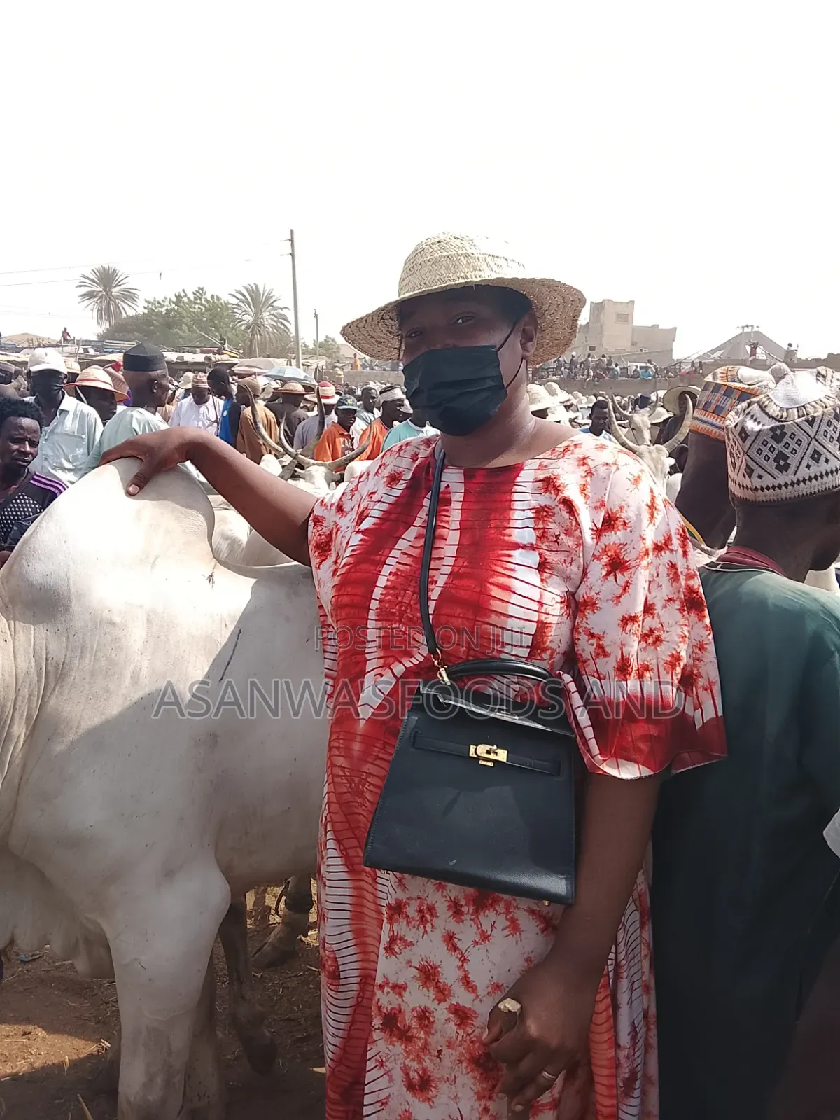 Healthy Cows