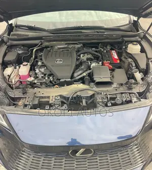 Lexus RX 2024 Gray
