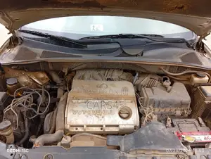 Lexus RX 2005 Brown