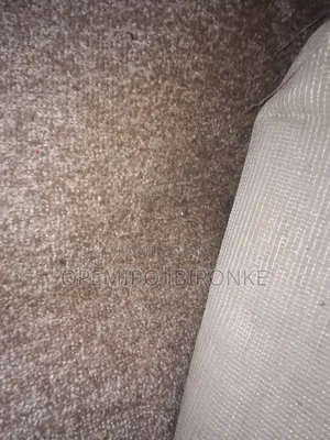 Room Sized Rug