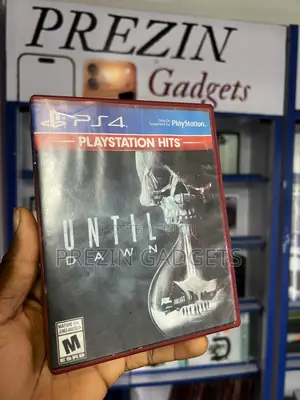Until Dawn