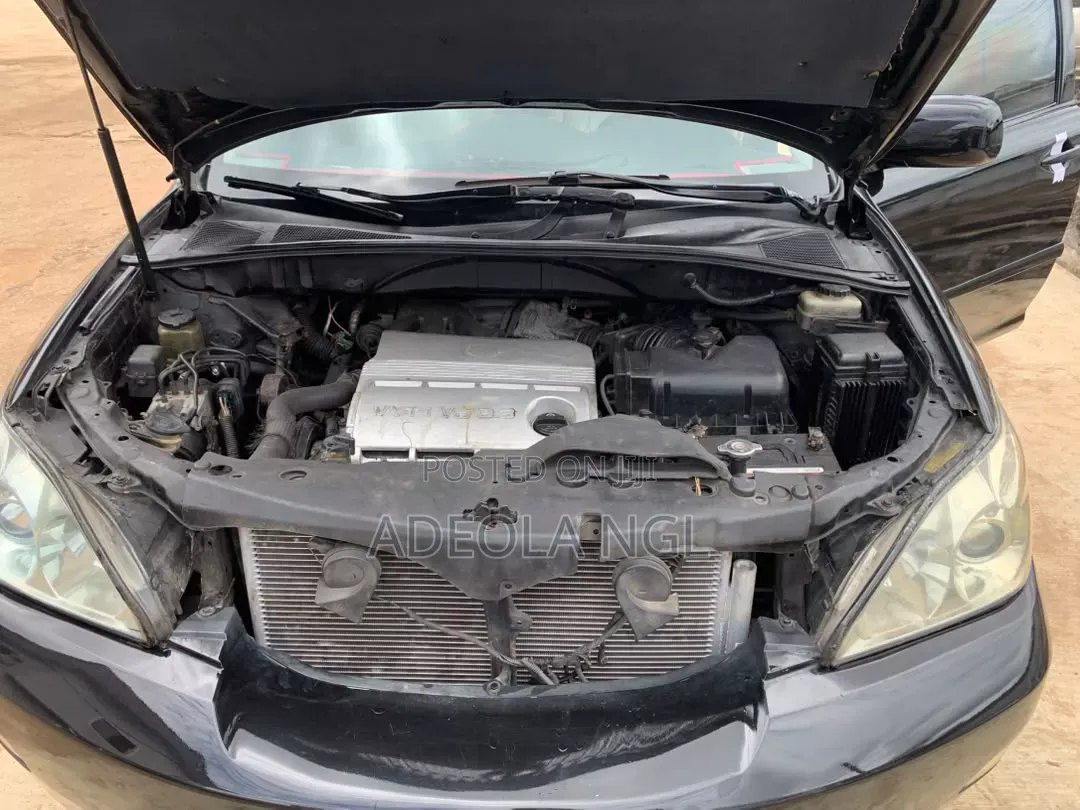 Lexus RX 2004 Black