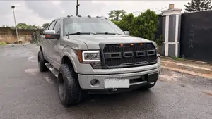 Ford F-150 Platinum 2010 Gray