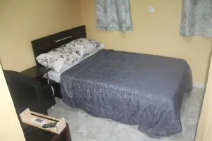 Studio Apartment in Amazing Grace Hostel, Agbowo for rent