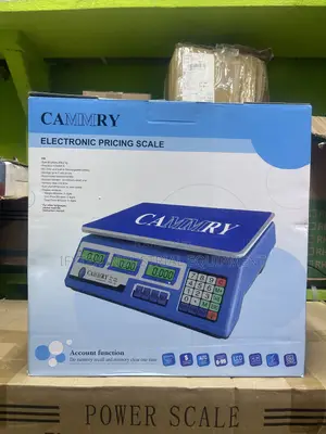 Original 40kg Electronic Pricing Scale