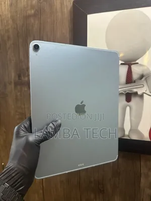 Apple iPad Air 1 TB Silver