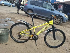 Direct Belgium Bicycle