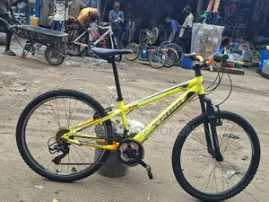Direct Belgium Bicycle