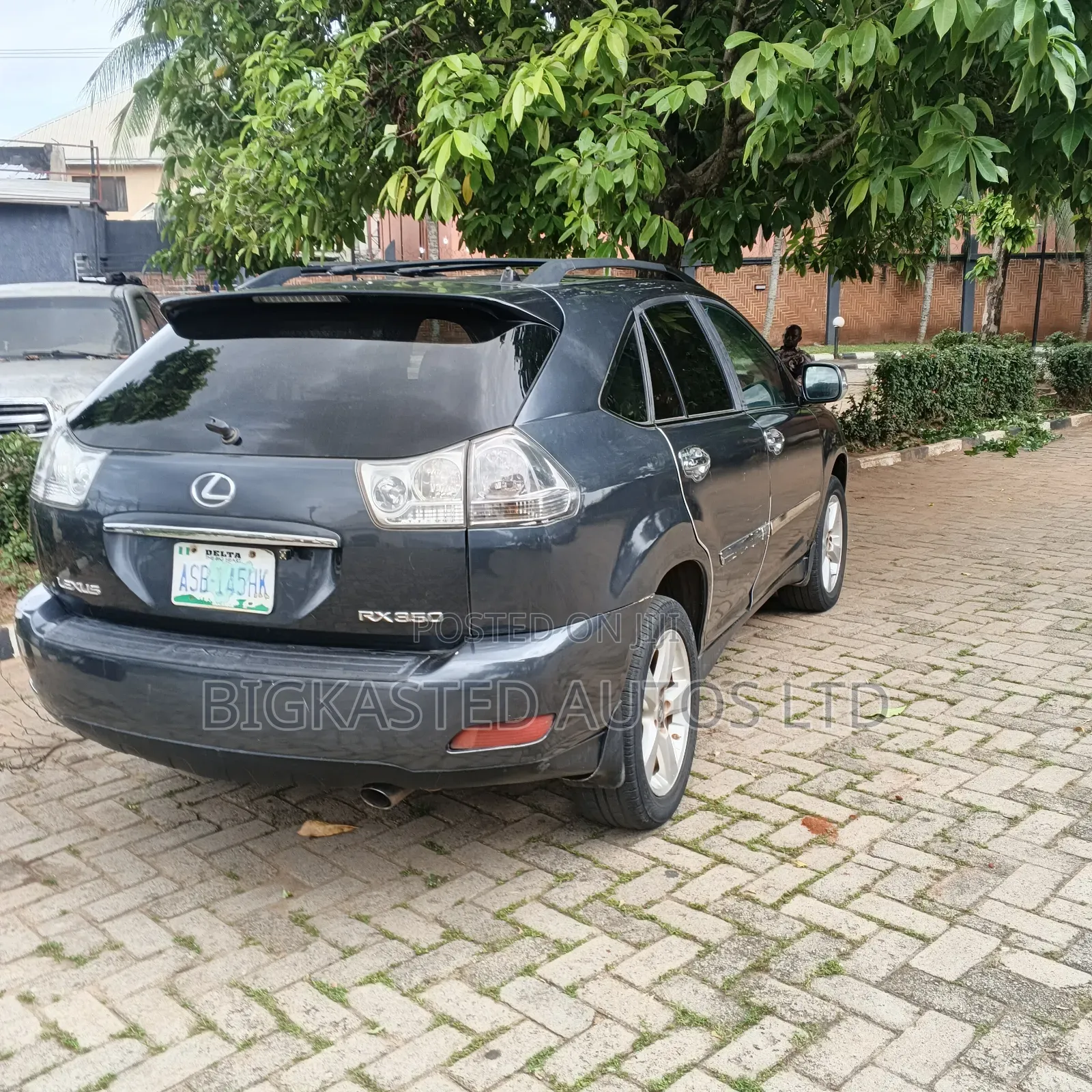 Lexus RX 2008 Ivory