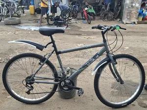 Direct Belgium Bicycle