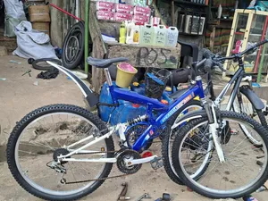 Direct Belgium Bicycle