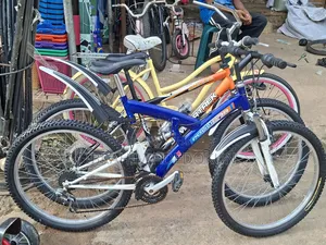 Direct Belgium Bicycle