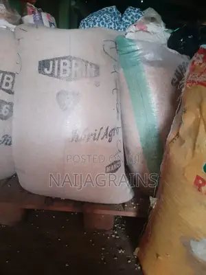 Quality Groundnut for Sale | Bulk Supply