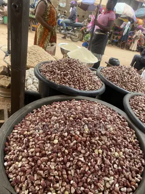 Quality Groundnut for Sale | Bulk Supply