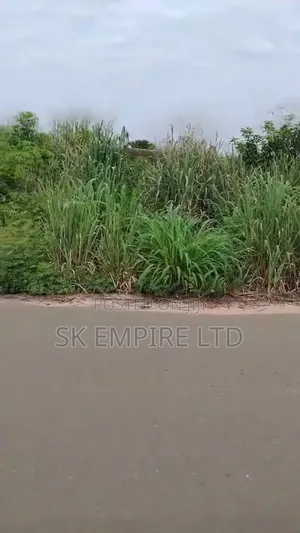 Hot Investment for Both Commercial and Residential