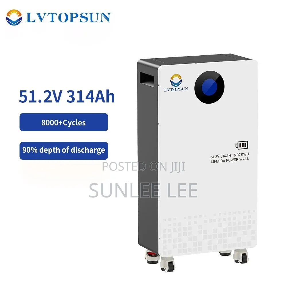 Lvtopsun Lithium Battery