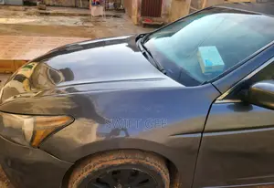 Honda Accord 2010 Gray
