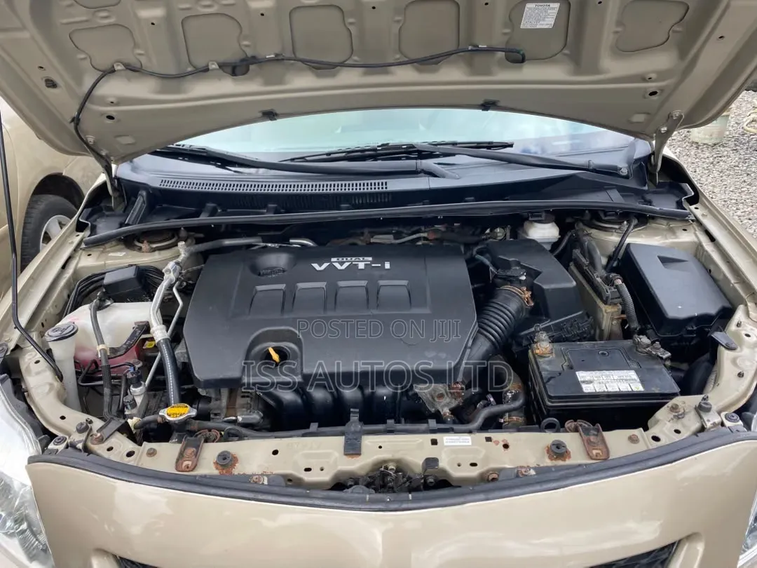 Toyota Corolla 2010 Gold