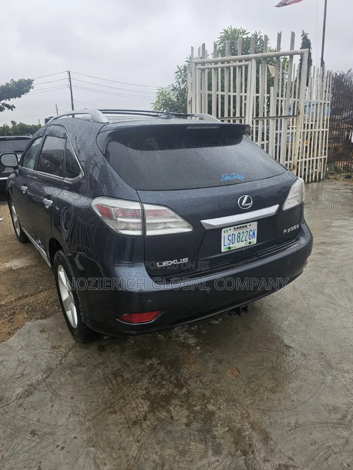 Lexus RX 2010 Blue