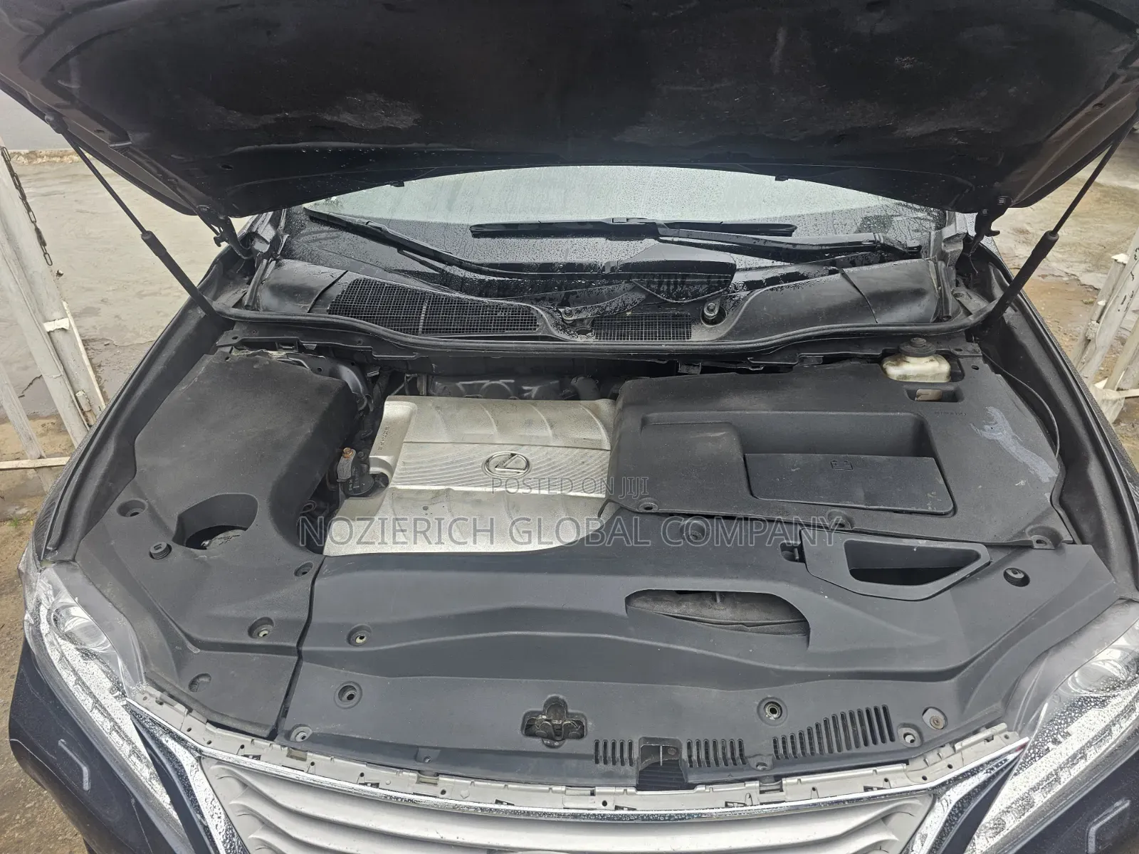 Lexus RX 2010 Blue
