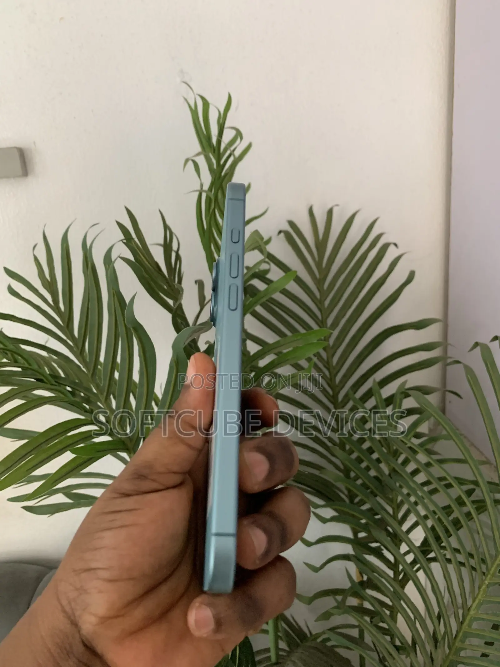 Apple iPhone 16 Plus 256 GB Green