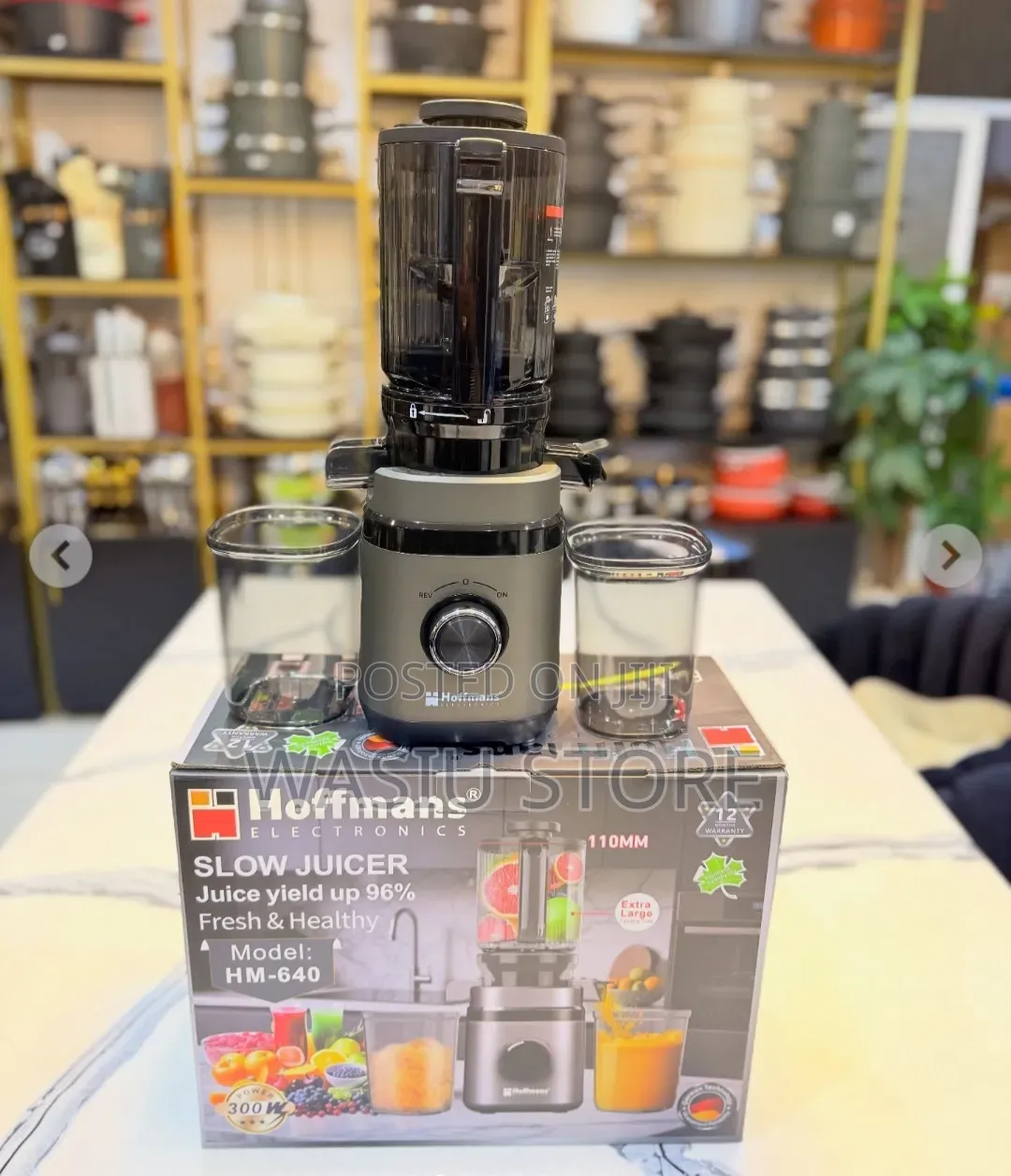 Hoffmans Hm-640 Slow Juicer