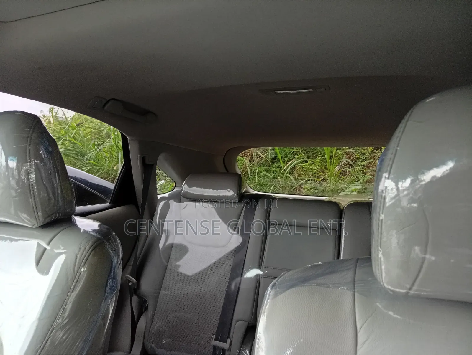 Lexus RX 2010 Silver