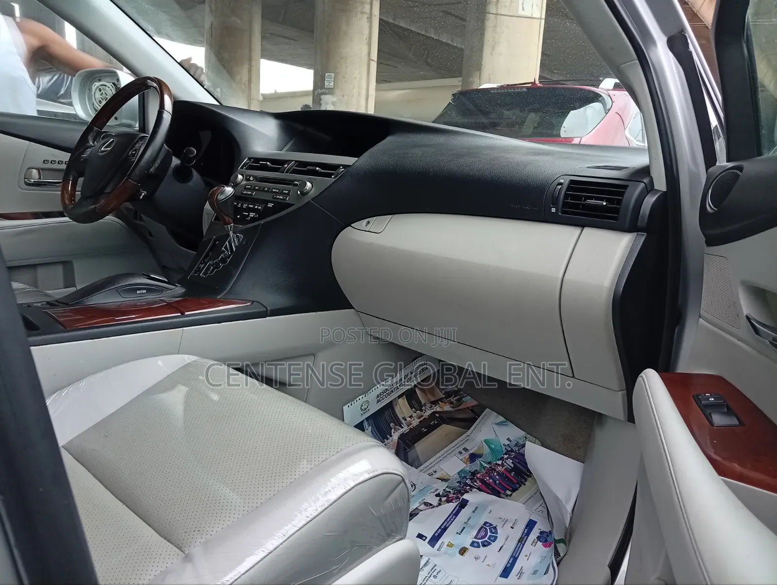 Lexus RX 2010 Silver