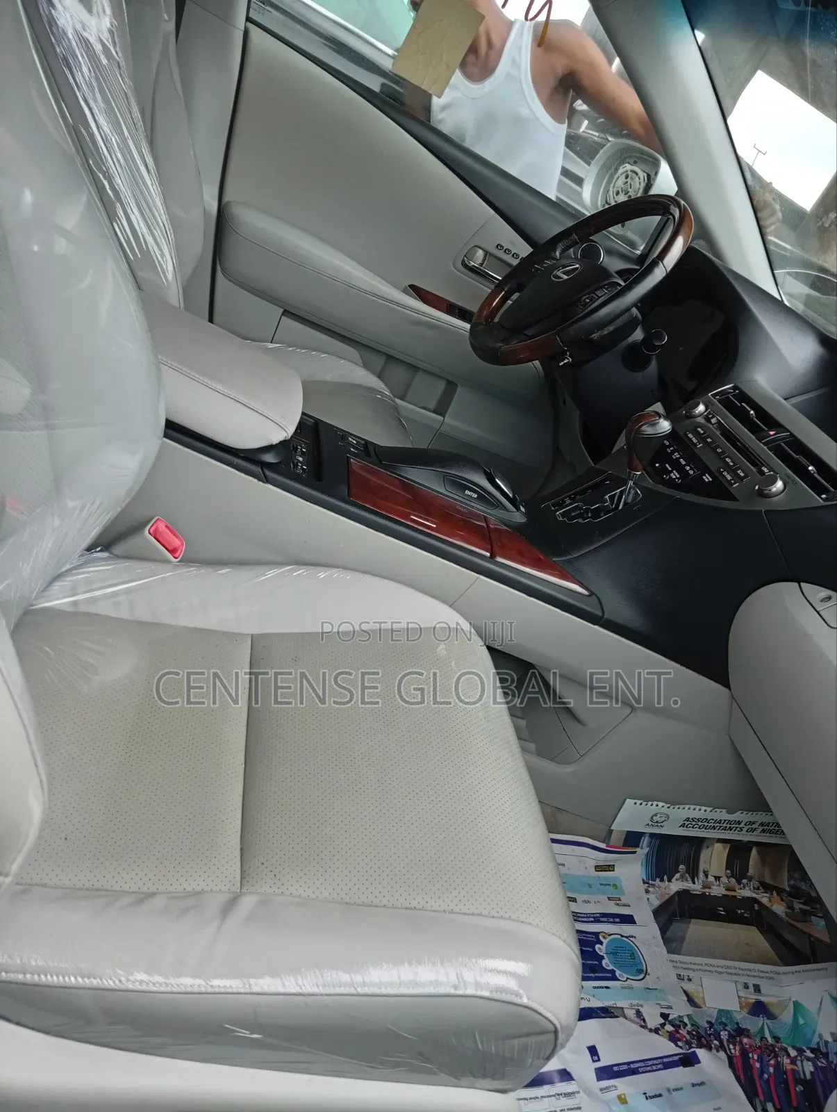 Lexus RX 2010 Silver