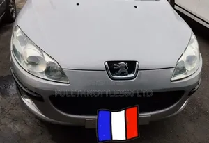 Peugeot 407 2.0 Esplanade 2007 Silver