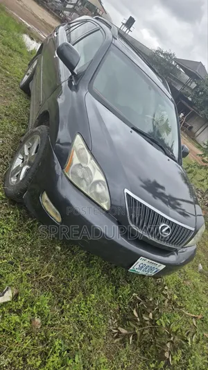 Lexus RX 2008 Gray