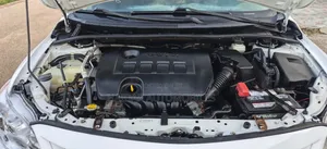 Toyota Corolla 2013 White