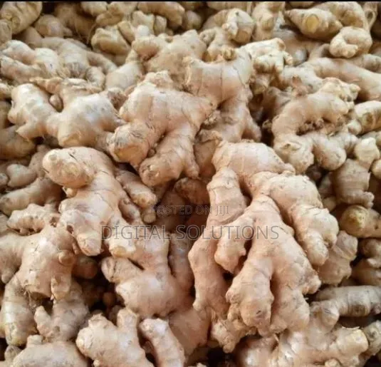 Ginger Per 1 Paint Bucket. Fresh Ginger.