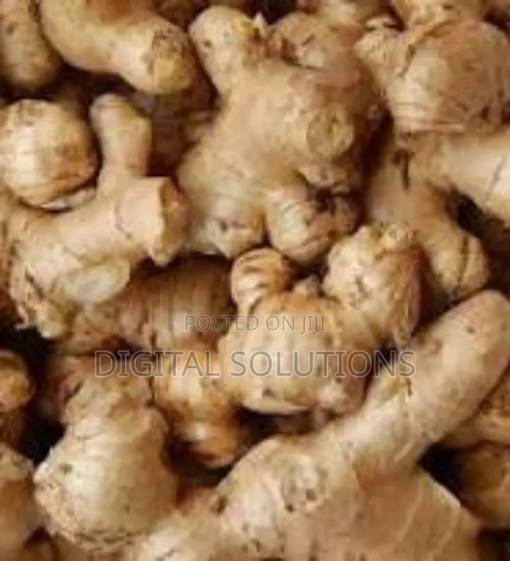 Ginger Per 1 Paint Bucket. Fresh Ginger.
