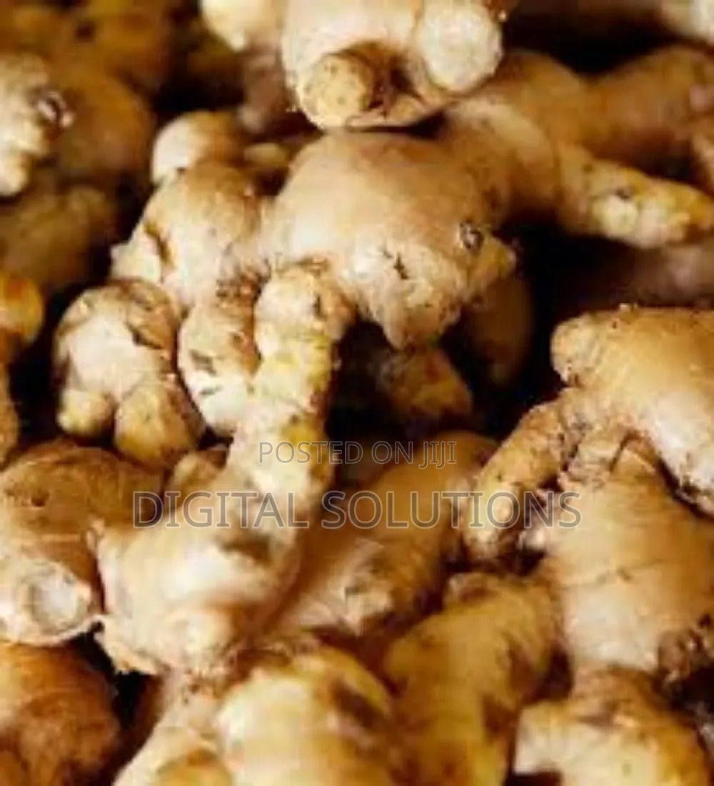 Ginger Per 1 Paint Bucket. Fresh Ginger.