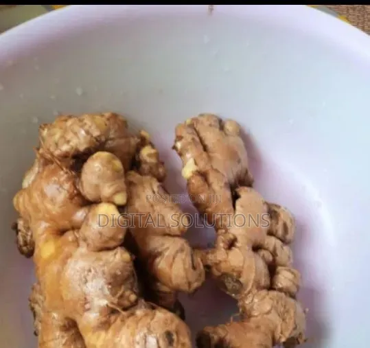 Ginger Per 1 Paint Bucket. Fresh Ginger.