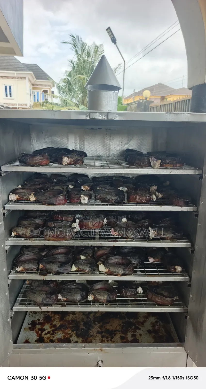 Tasty Smokey Catfish