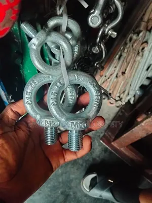 Heavy-Duty M20 Galvanized Lifting Eye Bolt
