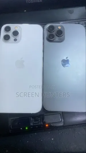 Apple iPhone 12 Pro Max 128 GB Gray