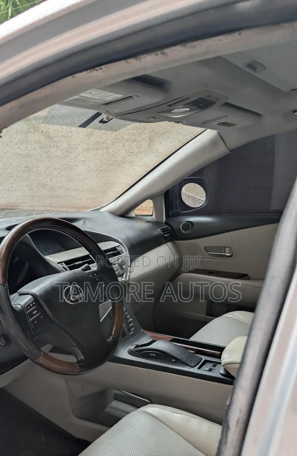 Lexus RX 350 2010 Silver