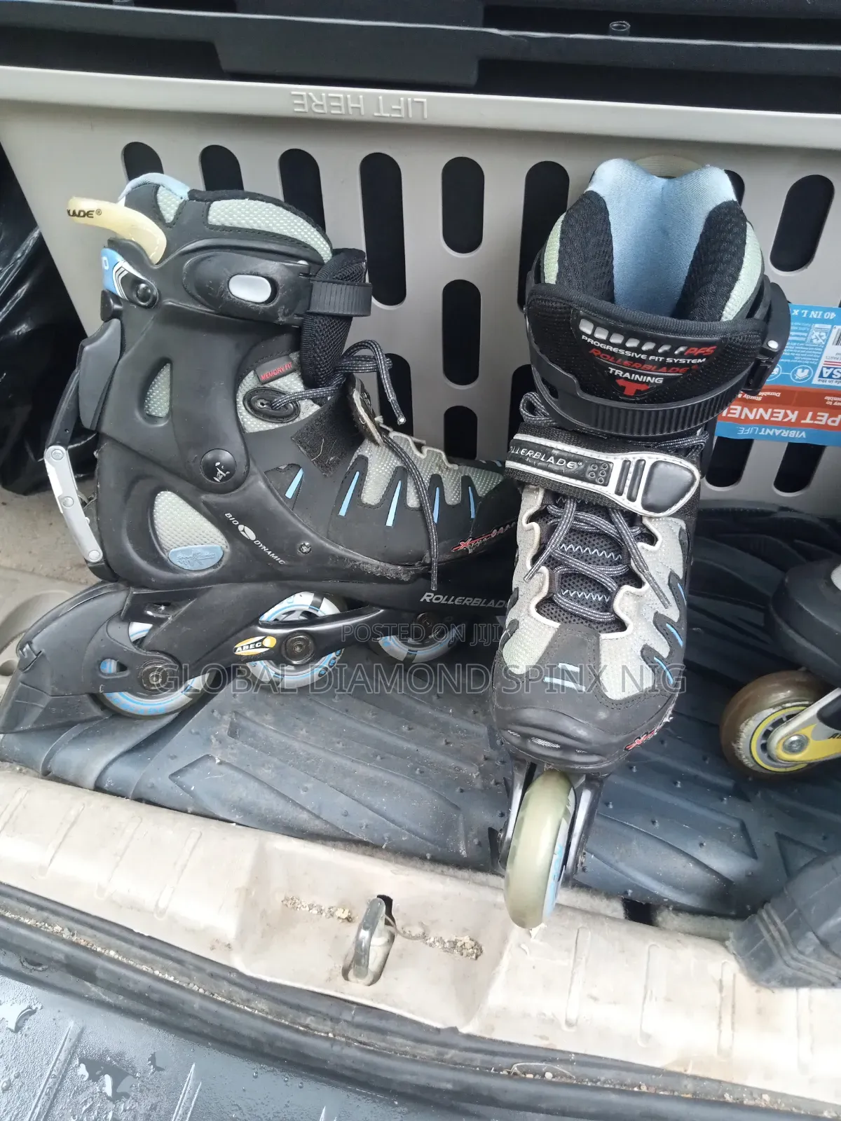 Skating Shoe