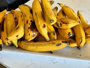 Organic Plantain Per 1 Big Bunch.