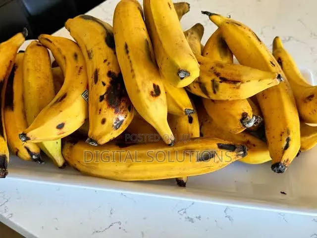 Organic Plantain Per 1 Big Bunch.