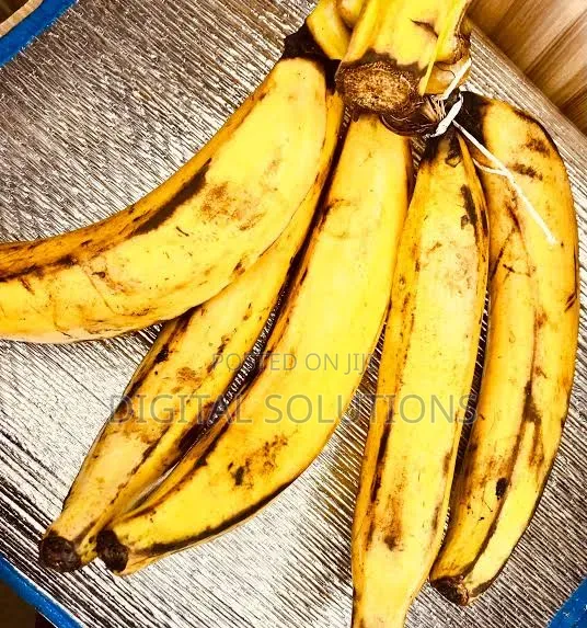 Organic Plantain Per 1 Big Bunch.