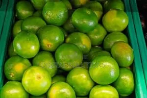 Sweet and Fresh Orange Per 30 Pcs. Organically Grown. Well Sorted.